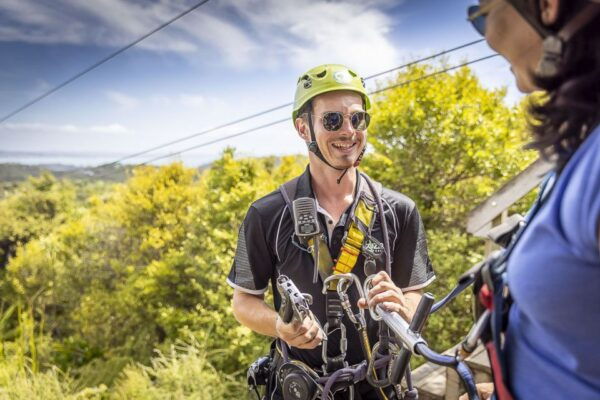 Waiheke Island: Zipline and Native Forest Adventure Trip - The Sum Up