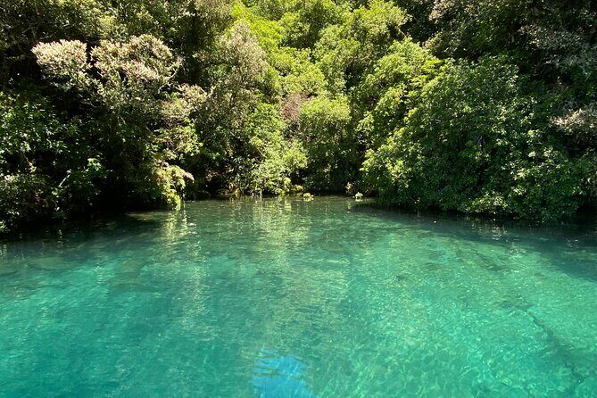 Waihora Bay Shared Tour from Kinloch Marina - Final Thoughts: Is It Worth It?