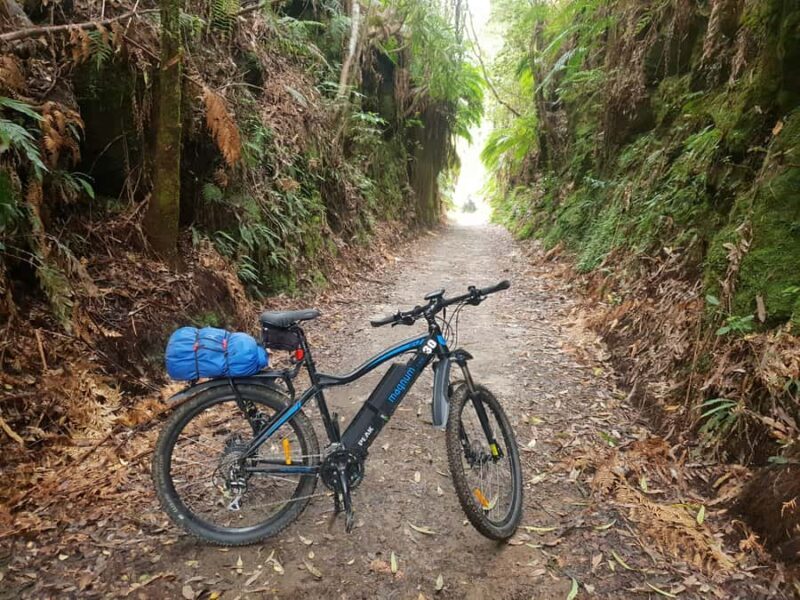 Waikato: Half-Day Karpiro River Trail Bike Tour - Comfort and Practicality