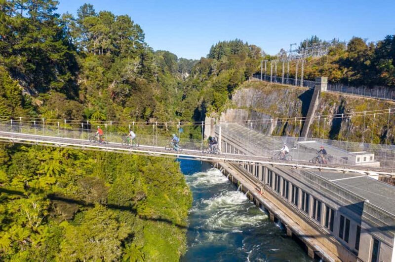 Waikato: Half-Day Karpiro River Trail Bike Tour - Crossing the Swing Bridge