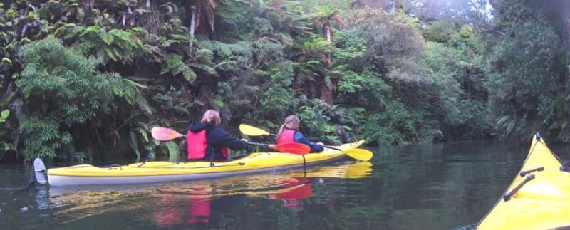 Waikato River: Glowworm Kayak Tour with Wine & Snacks - An In-Depth Look at the Waikato Glowworm Kayak Tour