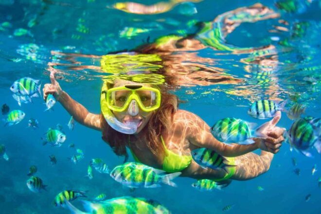 Waikiki: 5-In-1 Turtle Snorkeling Trip With Transfer - Common Questions