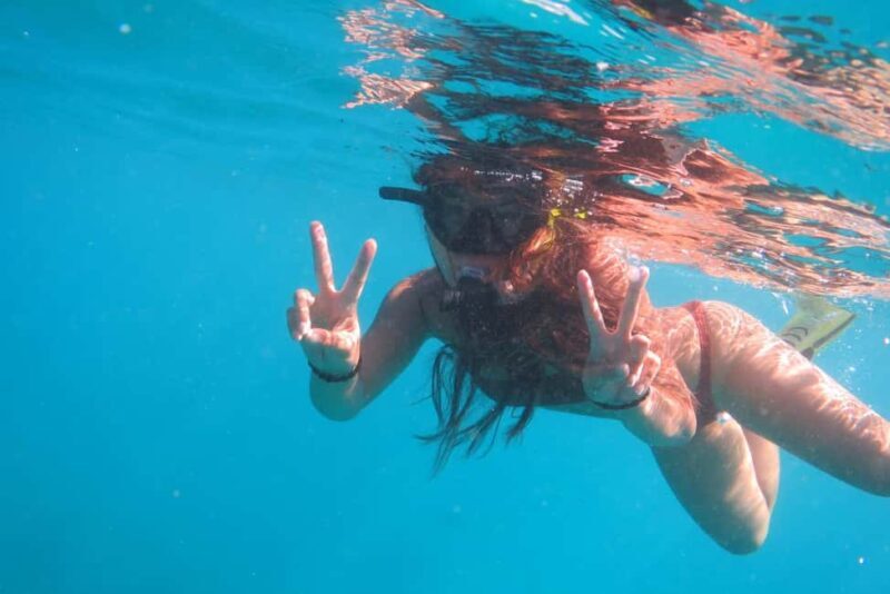 Waikiki: AM Paradise Honu Snorkeling - The Practicalities and Comforts