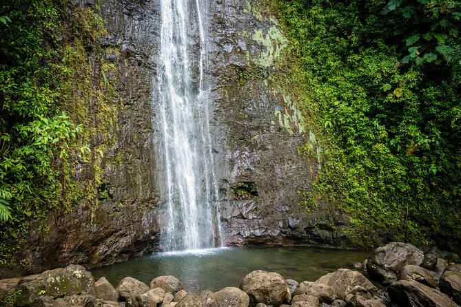 Waikiki Electric Bike Private Tour - Manoa Falls Bike and Hike - Inclusions and Meeting Details