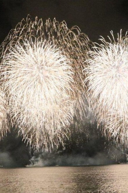 Waikiki: Friday Night Fireworks Catamaran Sail - Transportation and Pickup