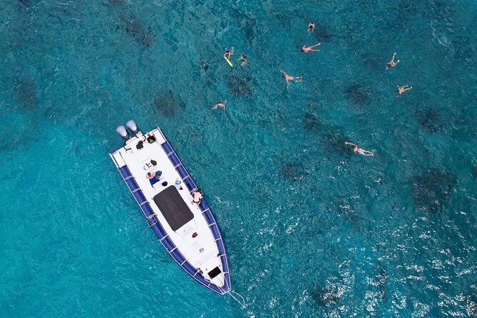 Waikiki: Guided Turtle Snorkel & Ocean Rafting Tour (Small-Group) - Tour Details and Requirements