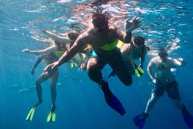 Waikiki: Guided Turtle Snorkel & Ocean Rafting Tour (Small-Group) - Traveler Photos and Reviews