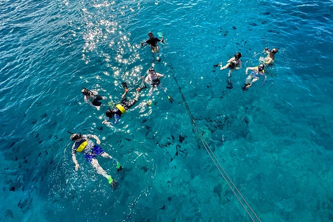 Waikiki: Guided Turtle Snorkel & Ocean Rafting Tour (Small-Group) - Miscellaneous Information