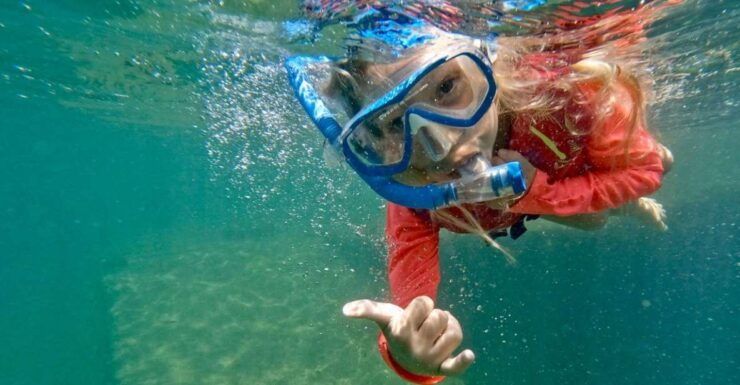 Waikiki: Honolulu Beginner Snorkeling Tour - Activity Details