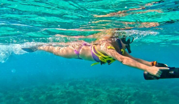 Waikiki: Monk Seal Bay Dolphin and Turtle Jet Snorkel Tour - Activity Details