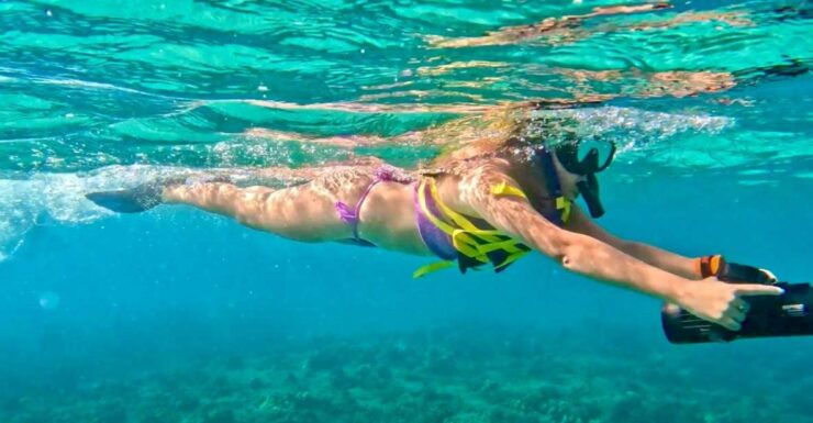 Waikiki: Monk Seal Bay Dolphin and Turtle Jet Snorkel Tour - Experience