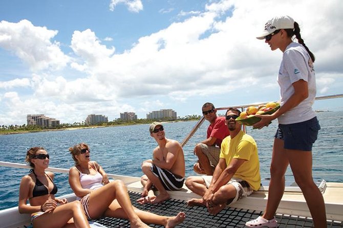 Waikiki Panorama Sail Search for Hawaiian Sea Turtles - Tour Highlights