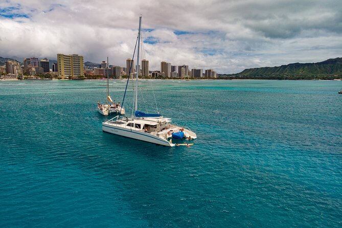 Waikiki Panorama Sail Search for Hawaiian Sea Turtles - Additional Information