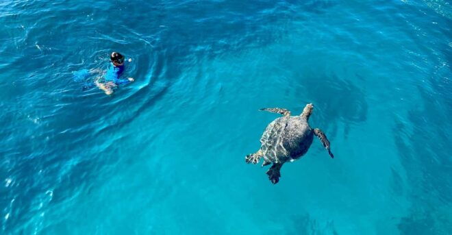 Waikiki: Sea Turtle Snorkeling, Small Group Boat Tour - Included Amenities