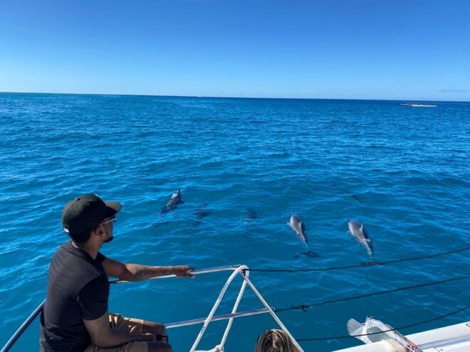 Waikiki: Sea Turtle Snorkeling, Small Group Boat Tour - Booking Information