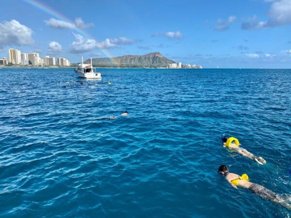 Waikiki: Sea Turtle Snorkeling, Small Group Boat Tour - Departure Location