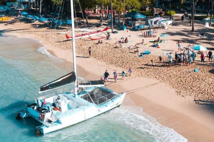 Waikiki: Sea Turtle Snorkeling Tour - Tour Details