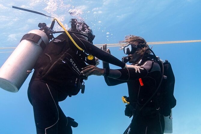 Waikiki Small-Group Beginner Scuba Dive  - Oahu - Meeting and Pickup Information