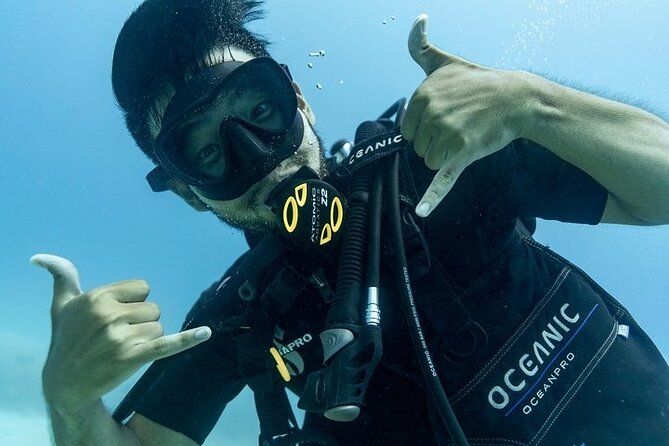 Waikiki Small-Group Beginner Scuba Dive  - Oahu - Cancellation Policy
