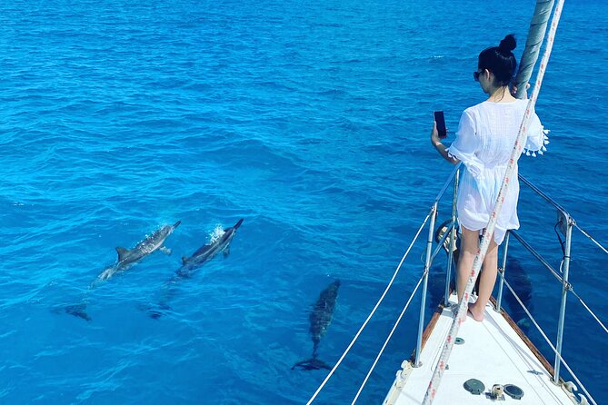 Waikiki Small Group Turtle Snorkeling & Sailing - Additional Information for Travelers