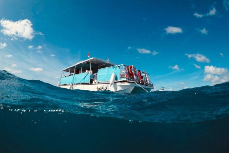 Waikiki: Snorkel Tour With Hawaiian Green Sea Turtles - Experience Highlights