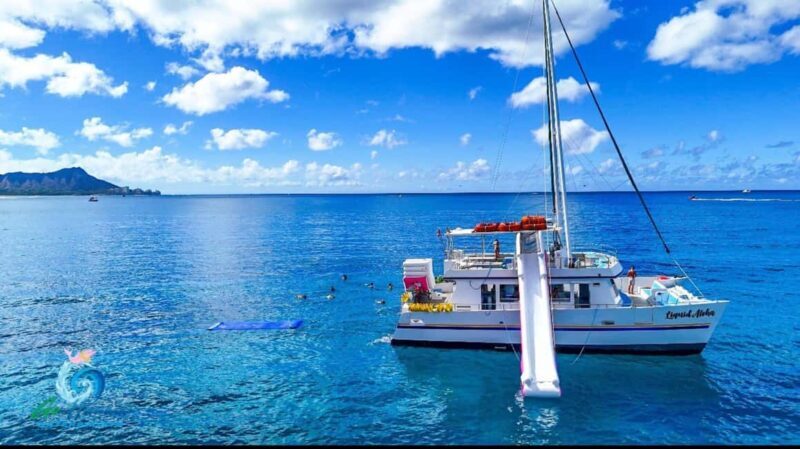 Waikiki Snorkeling and Ocean Waterpark Adventure - Good To Know