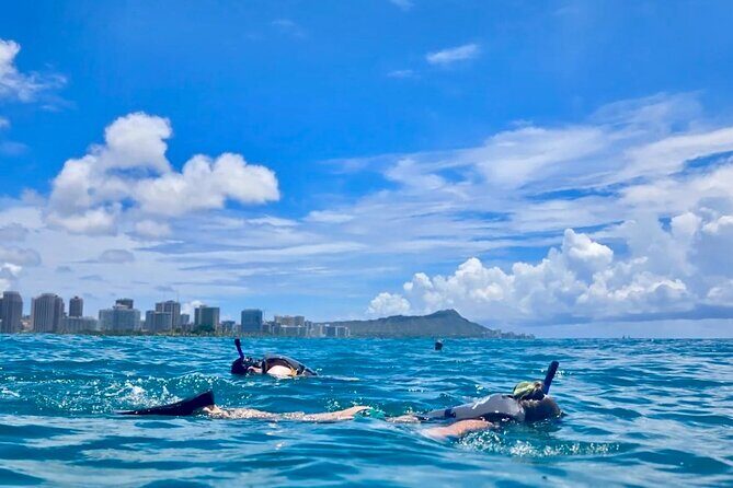 Waikiki Snorkeling & Ocean Waterpark Adventure from Oahu - Good To Know