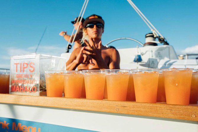 Waikiki Sunset Cocktail Sail With Open Bar - Experience Overview