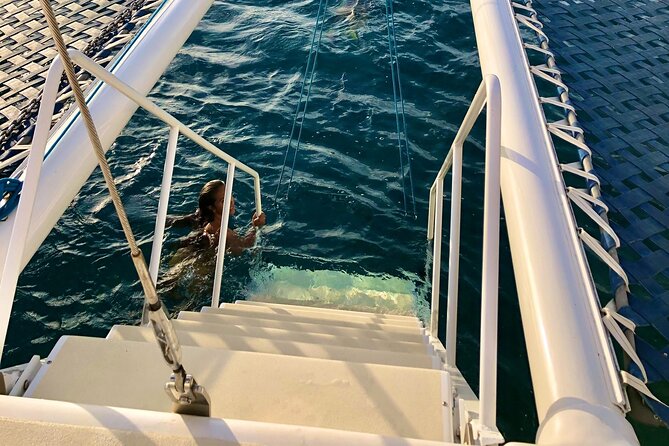 Waikiki Swim-and-Sail Catamaran Cruise  - Oahu - Viator Help Center