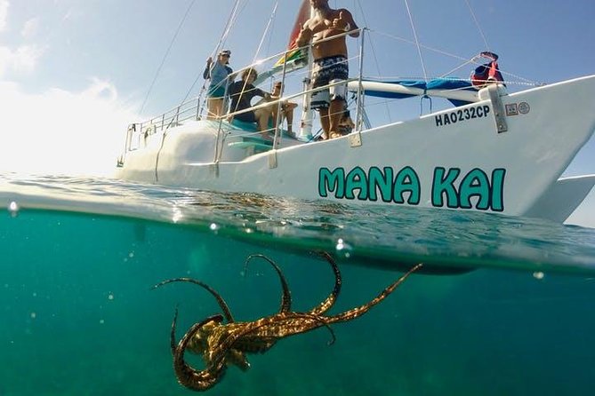 Waikiki Turtle Snorkel Adventure With Manakai Catamaran - Customer Reviews