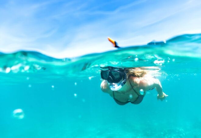 Waikiki: Turtle Snorkeling Cruise With 20FT Jumping Platform - Snorkeling Experience and Activities