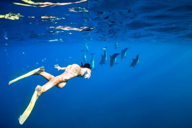 Waikiki: Turtle Snorkeling Cruise With 20FT Jumping Platform - Customer Reviews and Ratings