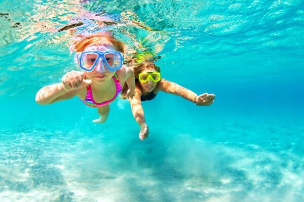 Waikiki: Turtle Snorkeling Cruise With 20FT Jumping Platform - Marine Life Sightings and Guarantees