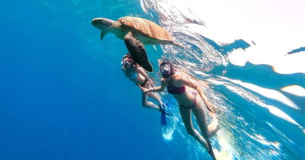 Waikiki: Turtle Snorkeling Cruise With 20FT Jumping Platform - Accommodating Children and Guests