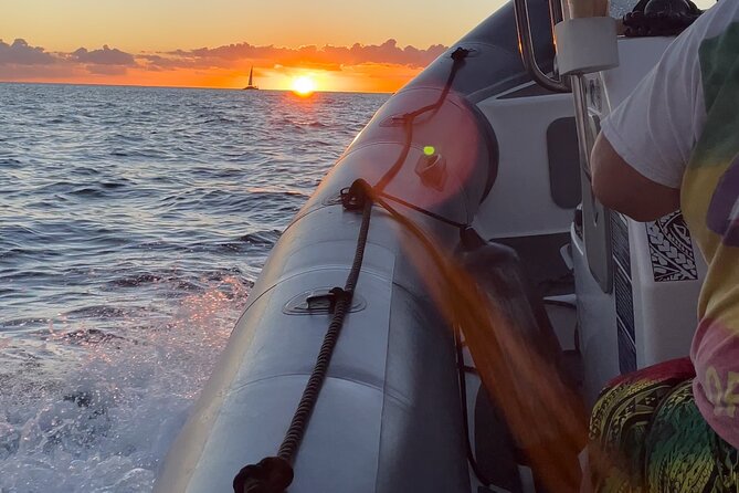 Waikiki Whale Watch (Semi-Private Boat Tour) - Common Questions