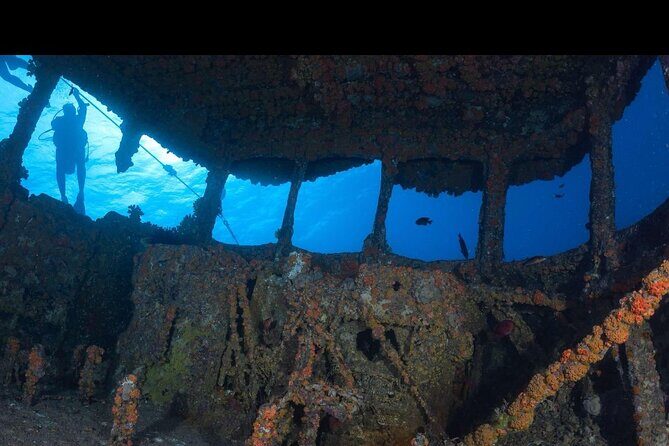 Waikikis Best Wreck And Reef Dive - Good To Know