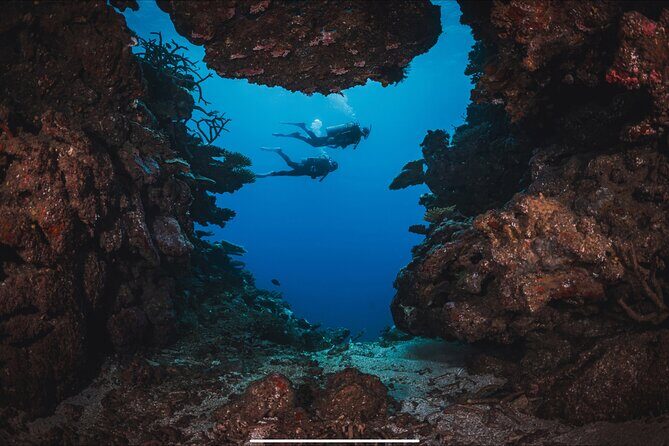 Waikikis Best Wreck And Reef Dive - The Cultural Element