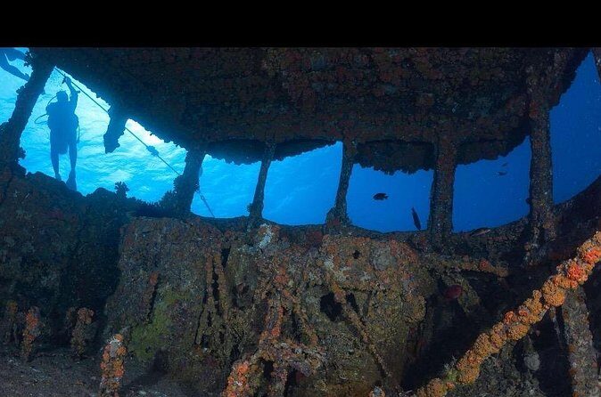 Waikikis Best Wreck And Reef Dive - Why Choose This Tour Over Others?