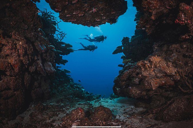 Waikikis Best Wreck And Reef Dive - Practical Details & Tips