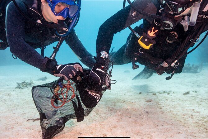 Waikikis Best Wreck And Reef Dive - The Sum Up