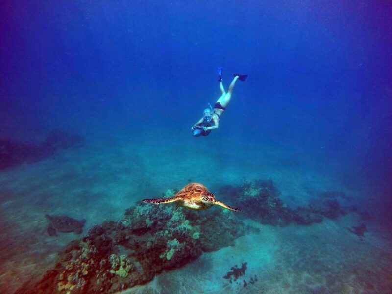 Wailea Beach: Guided Sea Scooter Snorkeling Tour - Group Size, Cost, and Practicalities