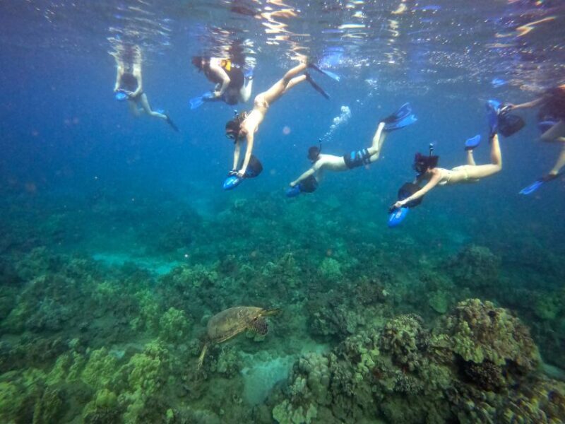 Wailea Beach: Guided Sea Scooter Snorkeling Tour - Authentic Experiences & Review Insights