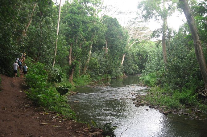 Wailua River and Secret Falls Kayak and Hiking Tour on Kauai - Pricing and Booking