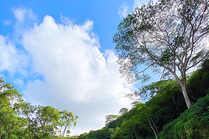 Wailua River and Secret Falls Kayak and Hiking Tour on Kauai - Nature Experience