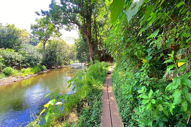 Wailua River and Secret Falls Kayak and Hiking Tour on Kauai - Common Questions
