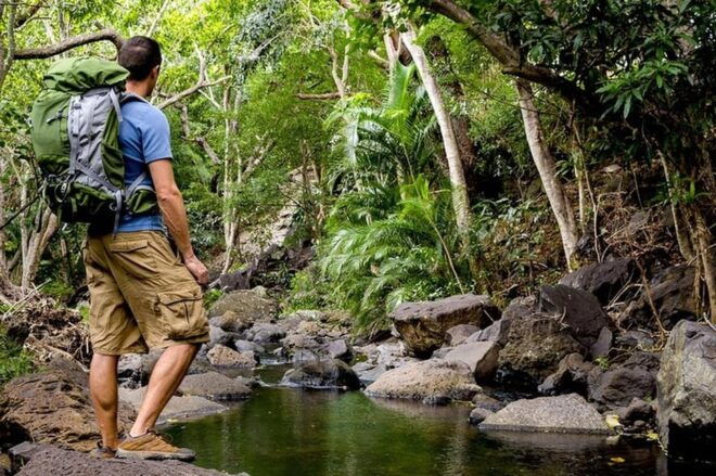 Wailua Valley And Waterfalls in Kauai: Audio Tour Guide - Cultural and Recreational Activities