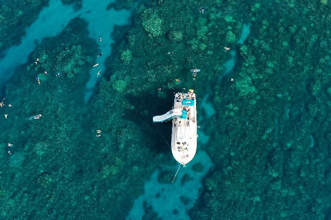 Wailuku Coral Gardens Snorkeling Tour  - Maui - Tour Overview