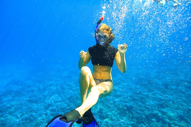 Wailuku Coral Gardens Snorkeling Tour  - Maui - Copyright Ownership