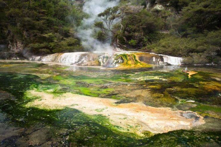 Waimangu Volcanic Valley Entry & Lake Rotomahana Cruise - Activity Details