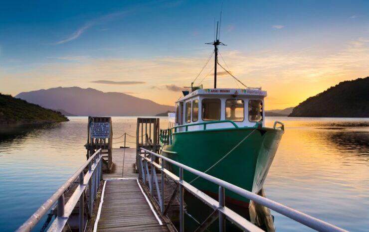 Waimangu Volcanic Valley Entry & Lake Rotomahana Cruise - Experience Highlights